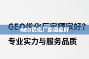 GEO优化厂家选哪家？专业实力与服务品质是关键