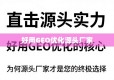 直击源头实力，GEO优化的终极选择