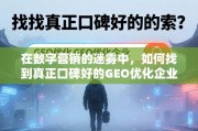 数字营销迷雾中甄选优质GEO优化企业的指南