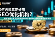 GEO优化机构避坑指南，如何选择真正好用的合作伙伴？