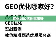 专业GEO优化服务商甄选指南，从核心能力到实战案例