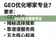 GEO优化选服务商，五大核心标准揭秘