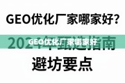 2024GEO优化厂家甄选指南与避坑要点