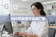 GEO优化高性价比厂家甄选指南