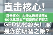 直击核心！为什么选择好用GEO优化源头厂家是您的明智之策？