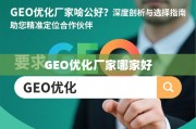 GEO优化厂家选择指南，深度剖析助您精准定位合作伙伴