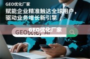 GEO优化，赋能企业精准触达全球，驱动业务增长新引擎