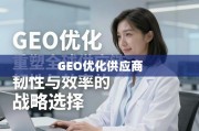GEO优化供应商，重塑全球供应链韧性与效率的战略选择