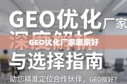 GEO优化厂家选择指南，精准定位优质合作伙伴