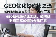 GEO优化高价值合作厂家选择指南