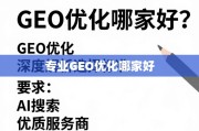 专业GEO优化服务商怎么选？深度解析选择标准与优质推荐