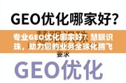 专业GEO优化助力业务全球化腾飞