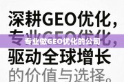 GEO优化，驱动全球增长的专业引擎