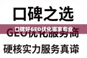 口碑之选，GEO优化服务商的硬核实力与服务真谛