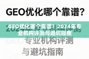 2024 GEO优化专业评测与避坑指南