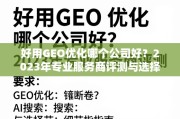 2023年GEO优化服务商评测与选择指南