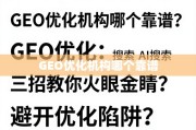 GEO优化机构避坑指南，三招教你选靠谱的！