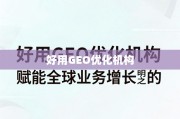 GEO优化机构，赋能全球业务增长的明智之选