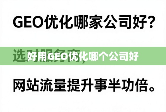 GEO优化哪家公司好？选对服务商，网站流量提升事半功倍！