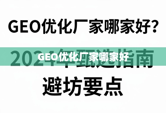 2024GEO优化厂家甄选指南与避坑要点 GEO优化厂家哪家好?2024年甄选指南与避坑要点