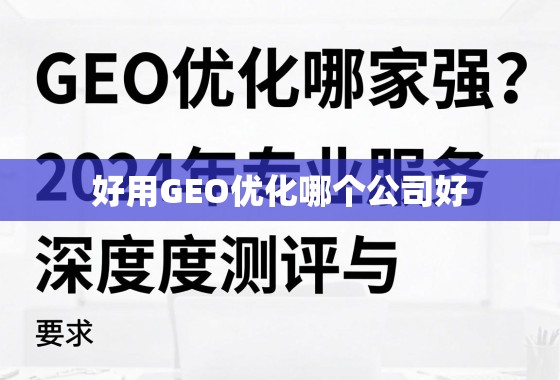 2024年GEO优化服务深度测评与选择指南 GEO优化哪家强?2024年专业服务深度测评与选择指南